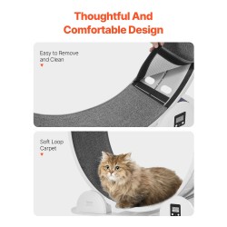 Kissan juoksupyörä ABS ja MDF 1038 mm ulkohalkaisija sisäkissoille askelmittarilla