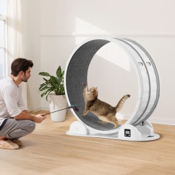 Kissan juoksupyörä ABS ja MDF 1038 mm ulkohalkaisija sisäkissoille askelmittarilla