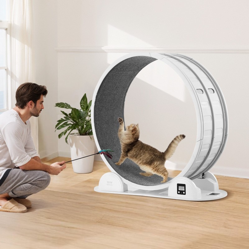 Kissan juoksupyörä ABS ja MDF 1038 mm ulkohalkaisija sisäkissoille askelmittarilla