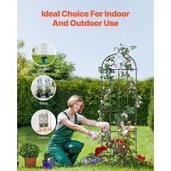 Metallinen teräsköynnöstuki 51 x 180 cm 2 kpl musta köynnöskasveille