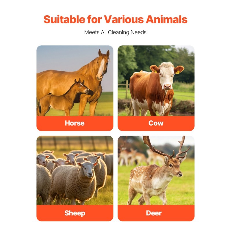 Karjaharja muovinen runko pehmeät harjakset 43,5 senttimetriä yksi kappale eläimille