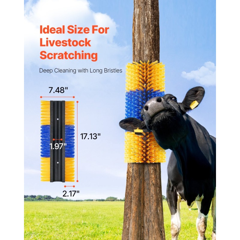 Karjaeläinten raapimisharja PBT-harjakset PP-sylinteri 43,5 cm 4 kpl