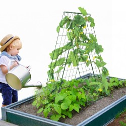 A-muotoinen köynnöstuki rautarunko ruosteenestopinnoitteella 117 cm kurkuille ja tomaateille