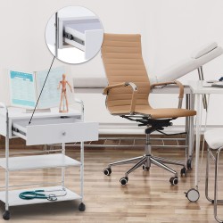 Monipuolinen apuvaunu pyörillä kauneushoitolaan ja kotiin