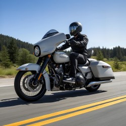 Moottoripyörän selkätuki irrotettava vettä hylkivä nahka ja ruostumaton runko Harley Touring 2009–2024