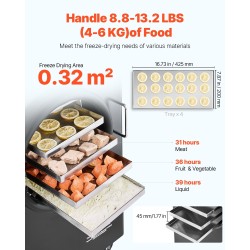 Pakastekuivain 4-tasoinen 4–6 kg per erä 304-ruostumaton teräs tyhjiöpumpulla kotikäyttöön