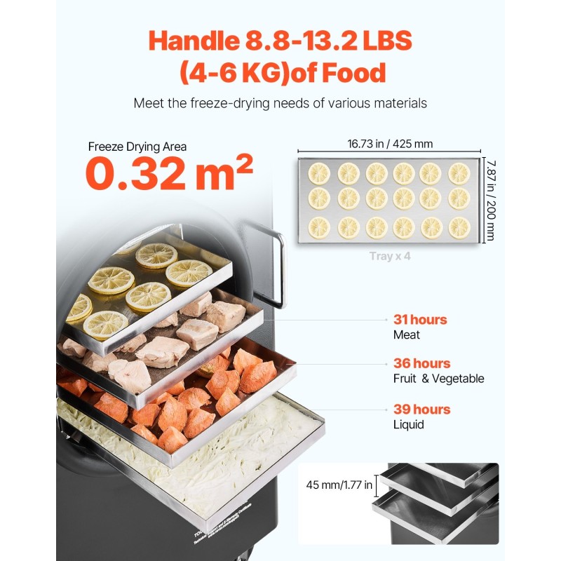 Pakastekuivain 4-tasoinen 4–6 kg per erä 304-ruostumaton teräs tyhjiöpumpulla kotikäyttöön