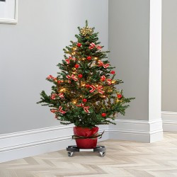 Rullattava alusta roskiksille ja ruukkuille 380–580 mm PP-muovi 2 kpl