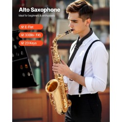 Messinkinen alttofon E♭-vireinen 33-sävelinen 23 näppäintä kantolaukulla
