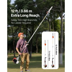 Jatkovarsisaha bensiinikäyttöinen 43 cc 2-tahti 30,48 cm terälaippa 3,66 m jatkovarsi