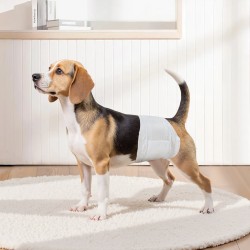 Kertakäyttöiset uroskoiran vaipat vyötärö 30–48 cm 144 kpl hengittävä imukykyinen