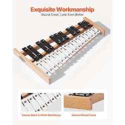 Glockenspiel-kellopeli 27-ääninen matalahiiliteräslevyt ääniala G2–A5 luonnonpuinen pohja 4 kapulaa kantolaukku