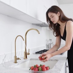 Juomavesihana 304 ruostumatonta terästä lyijytön messinkiventtiili harjattu kulta