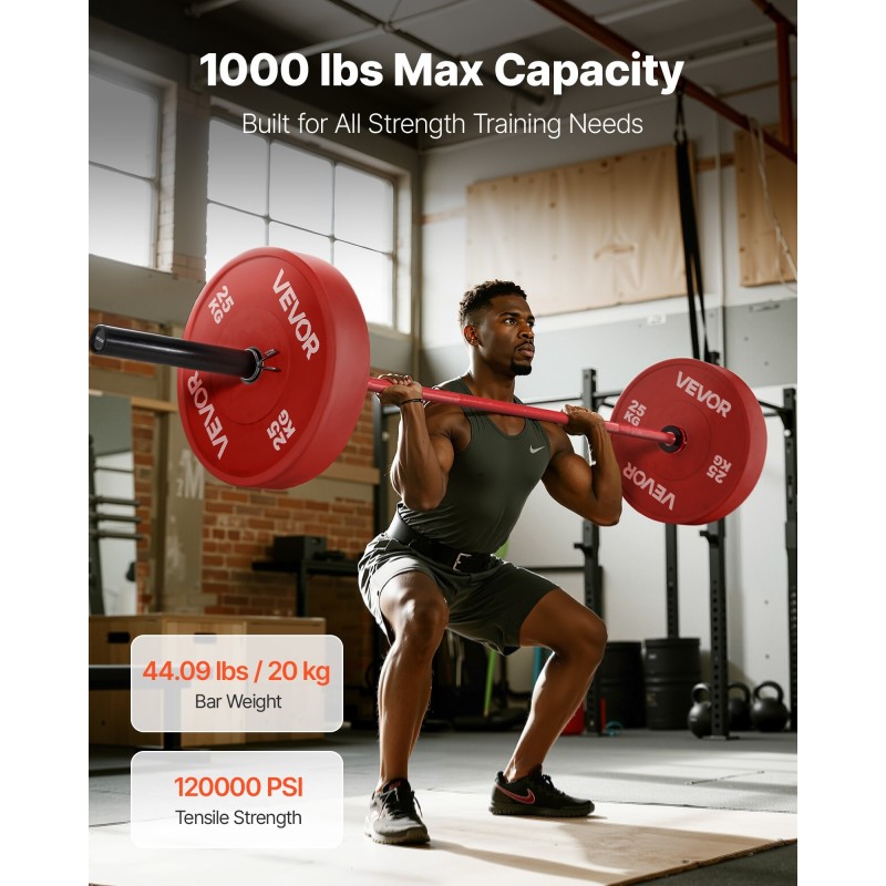 Levytanko 220 cm karkaisukäsitelty teräs 50 mm holkki 453 kg maksimikuorma