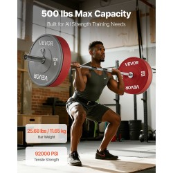 Levytanko 1820 mm 28 mm ote sopii 2-tuumaisille levypainoille 226,8 kg kantavuus