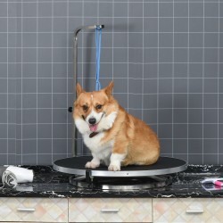 Koiran trimmauspöytä kääntyvä Ø65 cm, korkeussäädettävä galppi ja turvavyö, musta, kantavuus 40 kg