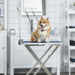 Korkeussäädettävä trimmausvarsi lemmikeille, hopea, 36 x 8 x 74 cm