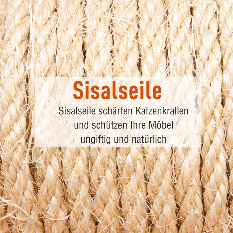Raapimis- ja kiipeilypuu kissoille, monitasoinen, 2 piilopaikkaa, tikkaat, sisal-tolpat, plyysi, harmaa 49 x 49 x 173 cm