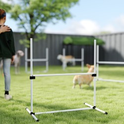 Koiran agility-setti 4-osainen, säädettävät hypyt ja pujottelutangot, valkoinen, kantolaukulla
