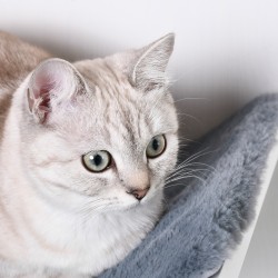 Seinään kiinnitettävä kissan lepotaso MDF/fleece 41 x 28 x 21 cm harmaa