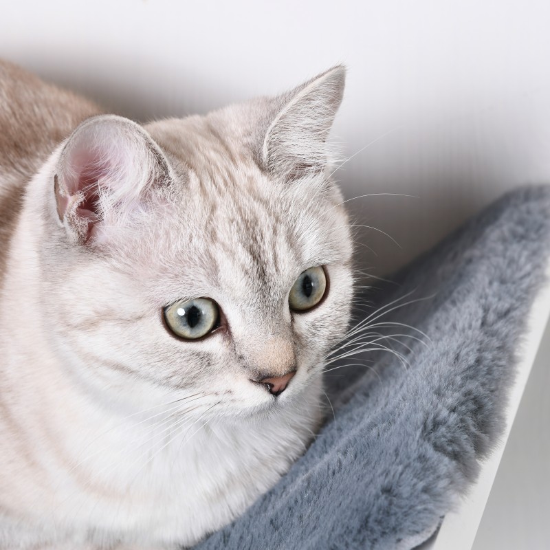 Seinään kiinnitettävä kissan lepotaso MDF/fleece 41 x 28 x 21 cm harmaa