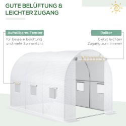 Kasvihuoneen vaihtopeite PE-kangas 300 x 200 x 200 cm läpikuultava