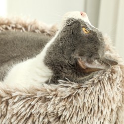 Kissan raapimapuu sisal-pylväällä ja plüšipedillä 87 cm, enintään 6 kg, ruskea-kermanvalkoinen