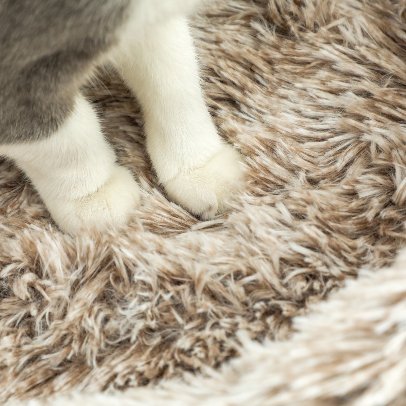 Kissan raapimapuu sisal-pylväällä ja plüšipedillä 87 cm, enintään 6 kg, ruskea-kermanvalkoinen