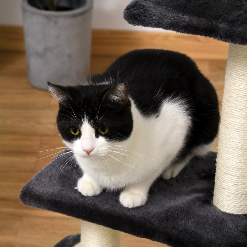 Kissan raapimispuu ja kiipeilypuu 72 cm, sisal-tolpat, monitasoinen torni, harmaa