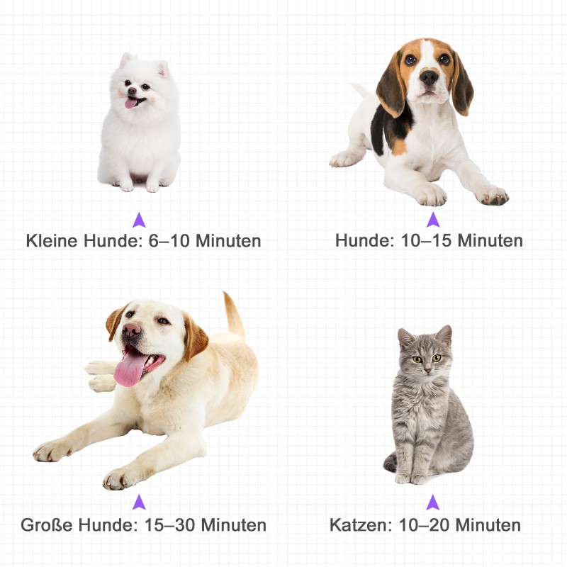 Lemmikkien fööni 2800W koirien ja kissojen turkinkuivain, säädettävä lämpötila ja puhallus, 3 suutinta, musta