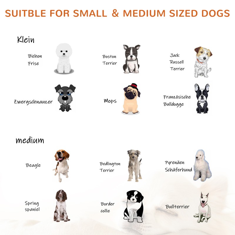 Koiraportti tukijaloilla, mäntyä, metalliritilä, kokoontaitettava, 185 x 36 x 71 cm, valkoinen