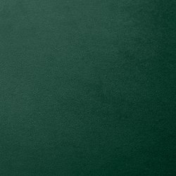 Ruokapöydän tuolit 2 kpl, samettimainen polyesteri, metallijalat, 52 x 54 x 79 cm, vihreä