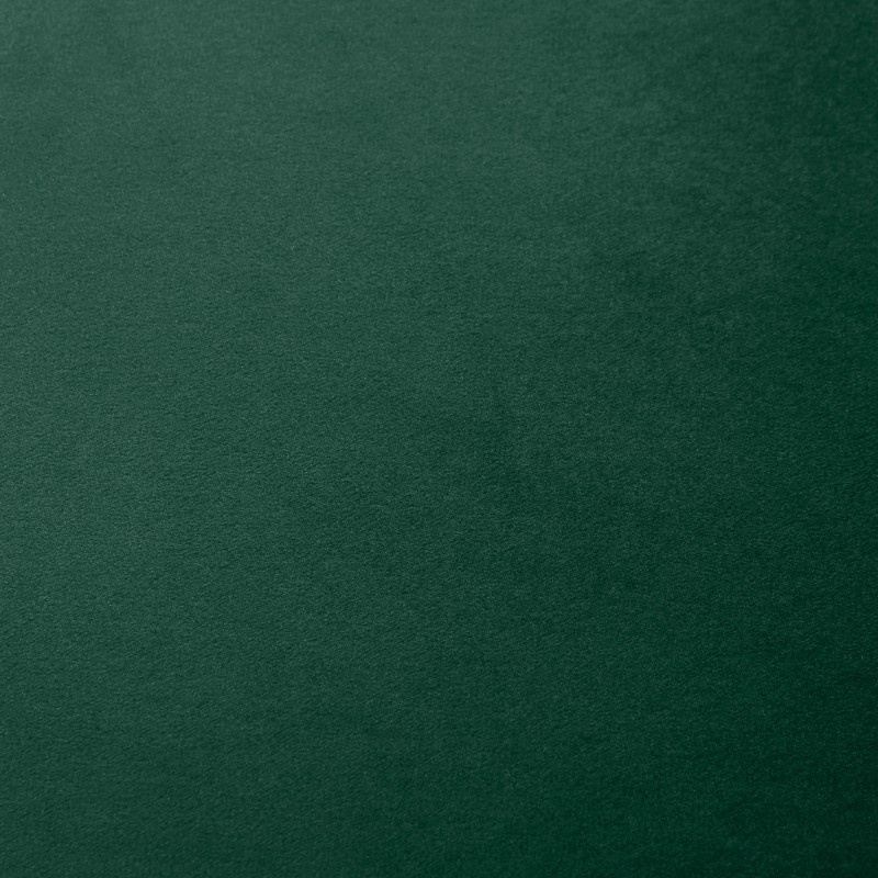 Ruokapöydän tuolit 2 kpl, samettimainen polyesteri, metallijalat, 52 x 54 x 79 cm, vihreä