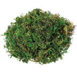 Tekoficus ruukussa 145 cm, muovinen ja tekstiilinen viherkasvi, vaaleanvihreä/tummanvihreä