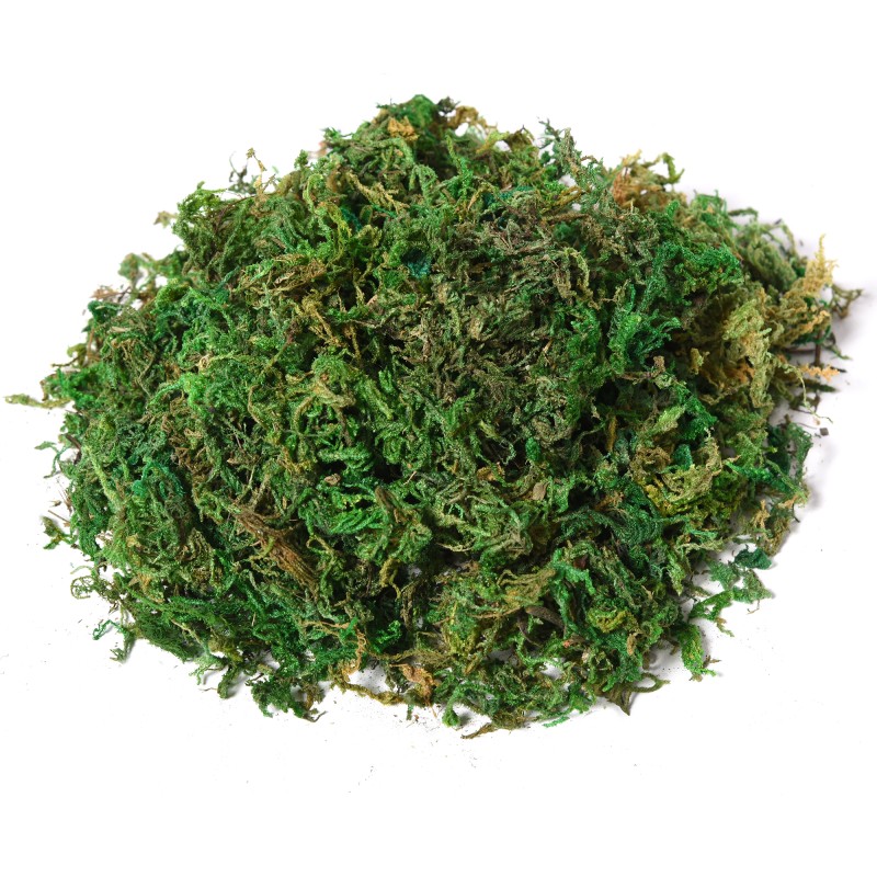 Tekoficus ruukussa 145 cm, muovinen ja tekstiilinen viherkasvi, vaaleanvihreä/tummanvihreä