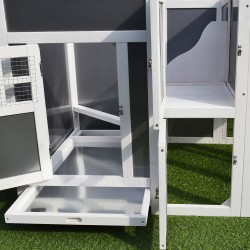 Kanala ja ulkotarha 1–2 kanalle, kuusi, 160 x 75 x 80 cm, harmaa/valkoinen