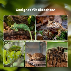 Matelija- ja hyönteisterraario lasi/metalli 50 x 30 x 25 cm musta, lämpömittarilla ja juoma-astialla