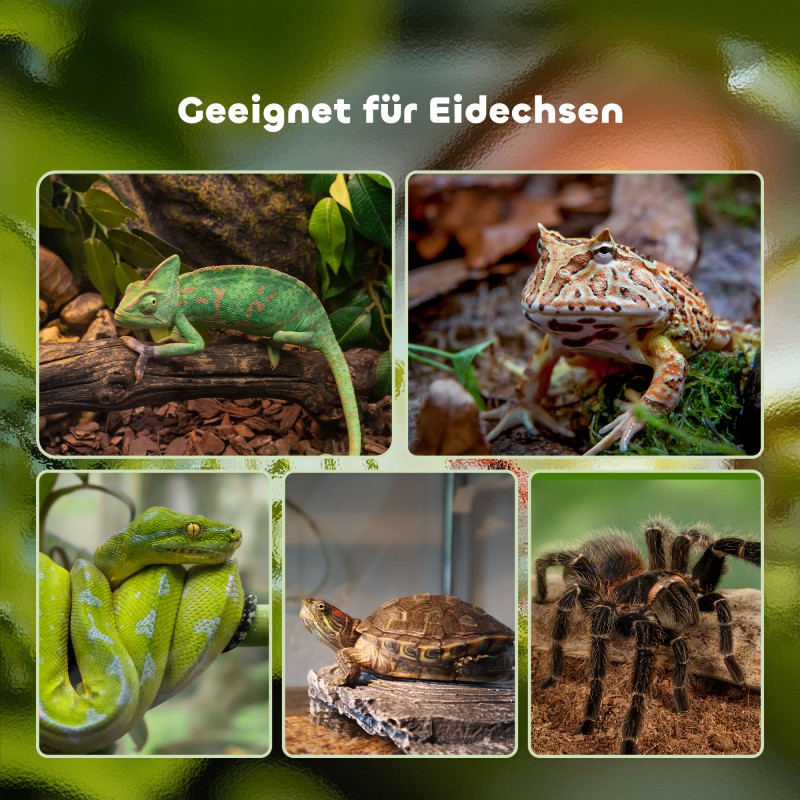 Matelija- ja hyönteisterraario lasi/metalli 50 x 30 x 25 cm musta, lämpömittarilla ja juoma-astialla