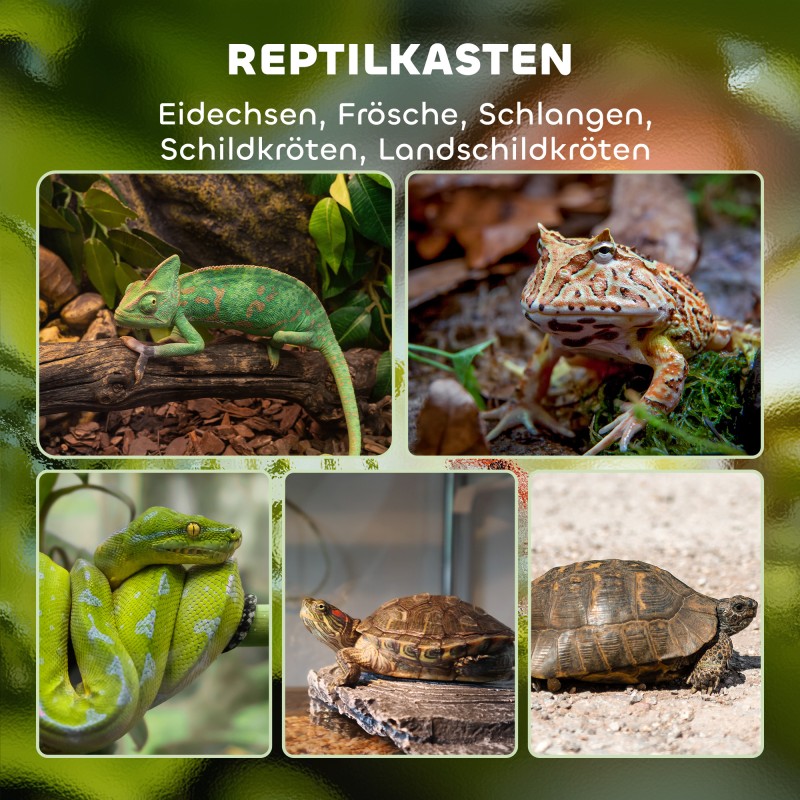 Lasiterraario matelijoille, karkaistu lasi, lukittava kansi, kaapelinhallinta, 45x45x60 cm, musta