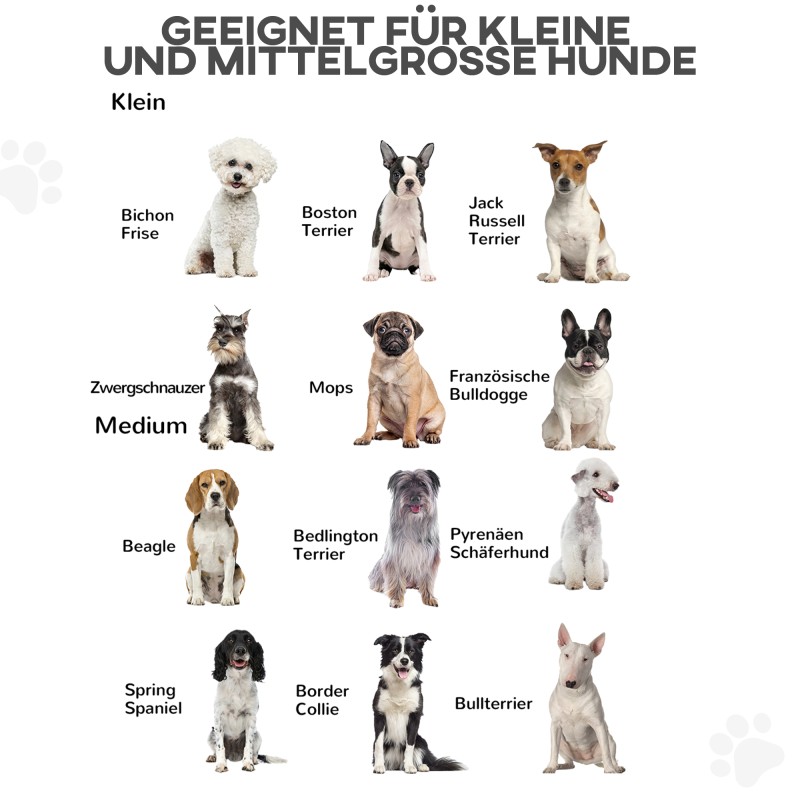 Koiraportti lemmikkiaitaus, mäntypuu ja teräs, 6-paneelinen, taittuva 432 x 36 x 70 cm, luonnonpuu