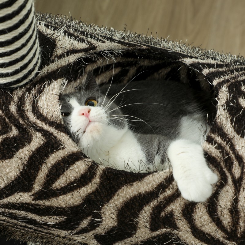 Raapimispuu kissalle zebra-kuosi, 3 raapimistolppaa ja tunneli, 48,5 x 35 x 93 cm, musta valkoinen