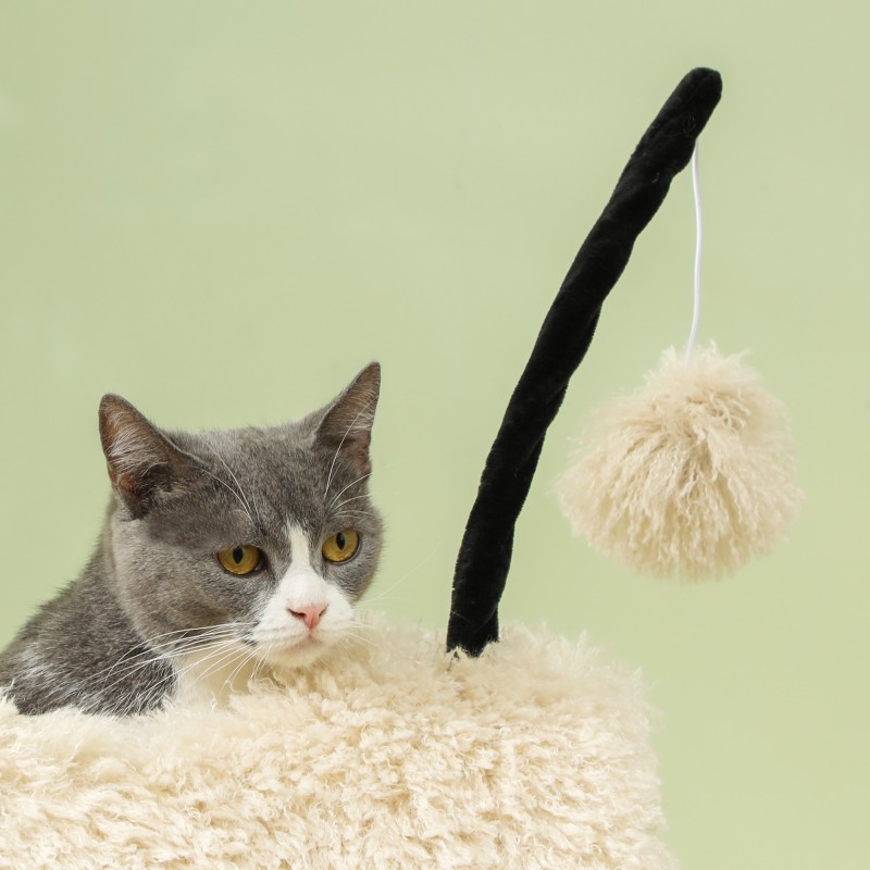 Kissan raapimapuu lampaan muotoinen tunneli ja lelu, 48 x 34 x 98 cm, vaaleanruskea