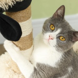 Kissan raapimapuu lampaan muotoinen tunneli ja lelu, 48 x 34 x 98 cm, vaaleanruskea