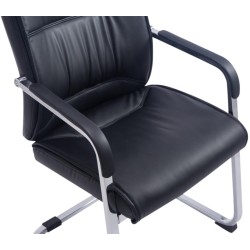 2 kpl XXL Anubis keinutuolia keinonahasta, 260 kg kuormitus