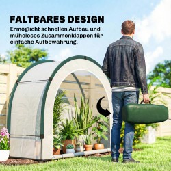 Kasviteltta kaarikattoinen, kokoontaitettava PE, 200 x 80 x 164 cm, valkoinen-vihreä