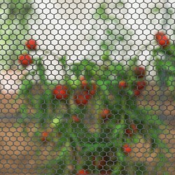 Kasvisuoja verkolla ja teräsrungolla 249 x 120 x 120 cm, musta