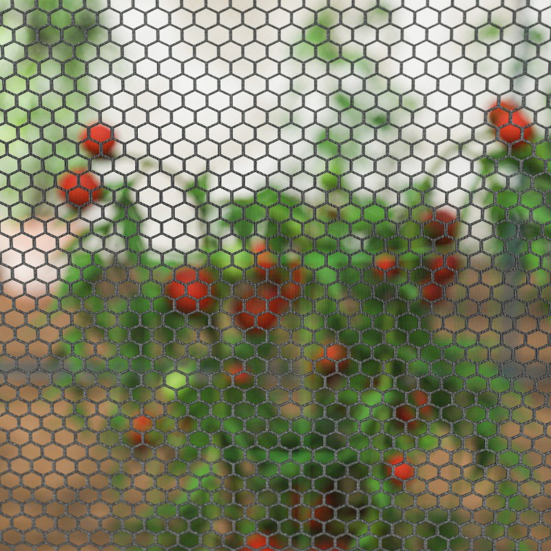 Kasvisuoja verkolla ja teräsrungolla 249 x 120 x 120 cm, musta