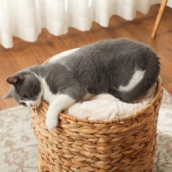 Kissan raapimisputki kahdella pesällä ja kattopedillä, vesihyasinttia, Ø40 x 50 cm, vaaleanruskea