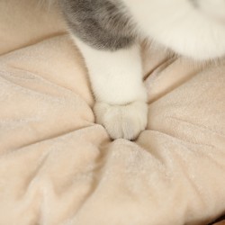 Kissan raapimisputki kahdella pesällä ja kattopedillä, vesihyasinttia, Ø40 x 50 cm, vaaleanruskea