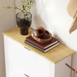 Kenkäkaappi eteiseen lastulevystä, 3 kääntyvää lokeroa, 18 paria, 72x26x112 cm, valkoinen–ruskea